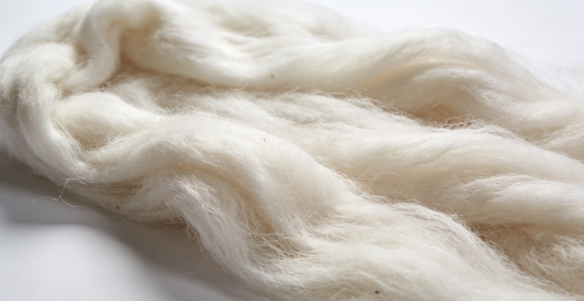 cashmere fibre