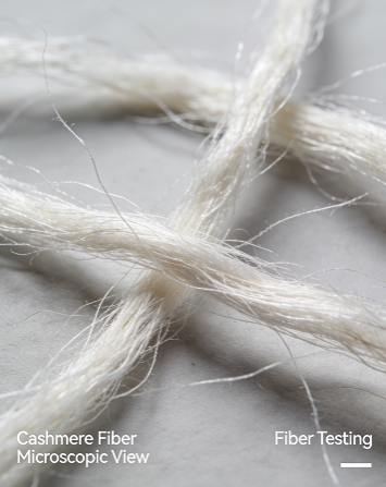 Microscopic testing details of cashmere fibers